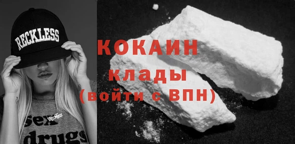 шишки Белокуриха