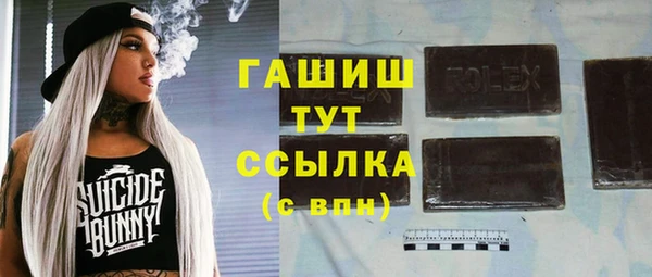 шишки Белокуриха