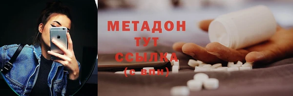 шишки Белокуриха