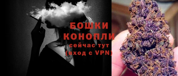 шишки Белокуриха
