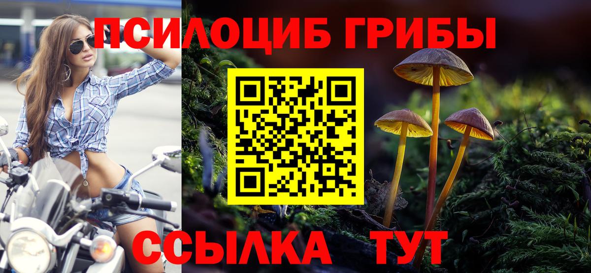 Саяногорск  Галлюциногенные грибы GOLDEN TEACHER  Вход с VPN 