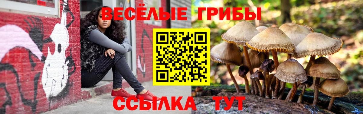 Галлюциногенные грибы Magic Shrooms Саяногорск