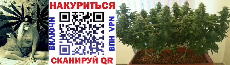 KRAKEN tor  продажа наркотиков  Саяногорск  МАРИХУАНА гибрид 